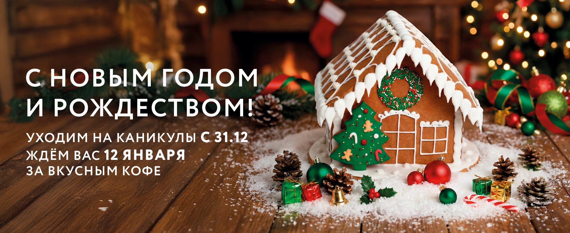 Мы ходит на новогодние каникулы