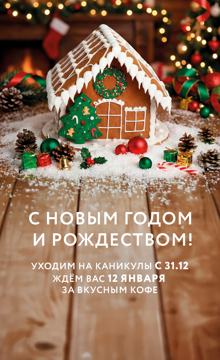 Мы ходит на новогодние каникулы